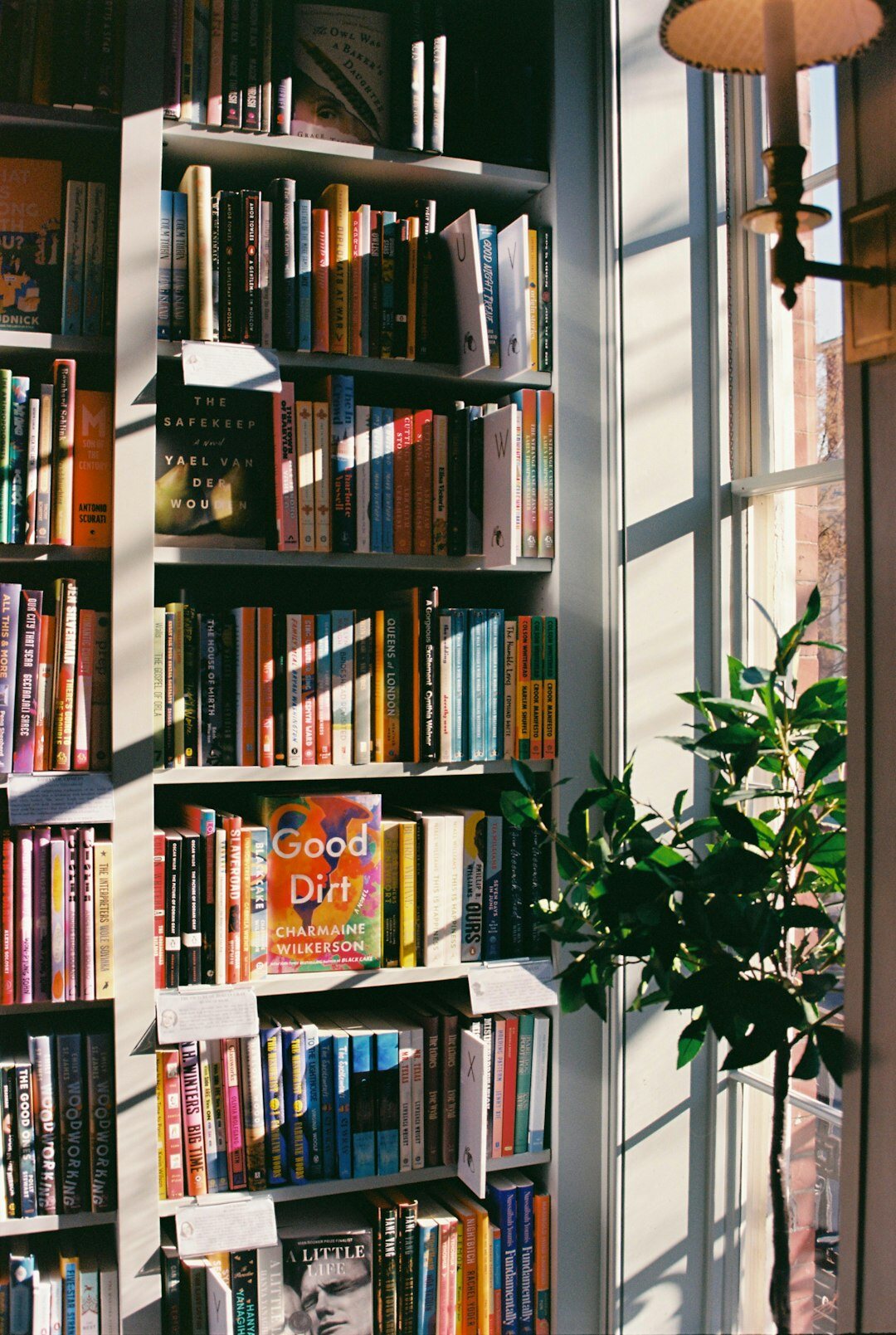 Cozy reading nook with bookshelves full of mystery novels and a warm armchair